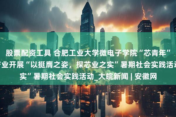 股票配资工具 合肥工业大学微电子学院“芯青年”赴合肥市集成电路产业开展“以挺膺之姿，探芯业之实”暑期社会实践活动_大皖新闻 | 安徽网
