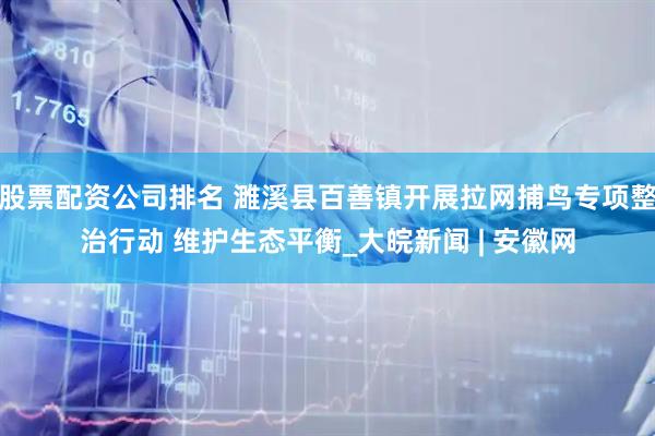 股票配资公司排名 濉溪县百善镇开展拉网捕鸟专项整治行动 维护生态平衡_大皖新闻 | 安徽网