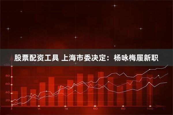 股票配资工具 上海市委决定：杨咏梅履新职